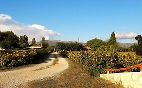 Authentic Country House In Zakynthos